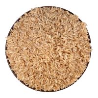 brown rice small-2