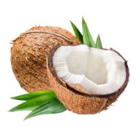 coconut-small